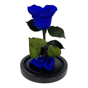 Trandafir Criogenat albastru inima Ø8cm in cupola de sticla - Trandafir-Criogenat.ro