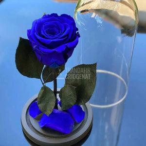 Trandafir Criogenat albastru Ø6,5cm in cupola de sticla - Trandafir-Criogenat.ro