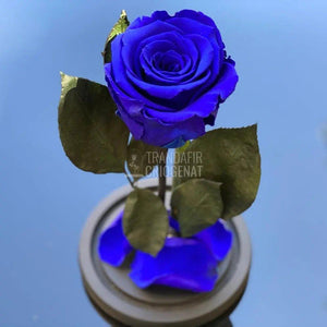 Trandafir Criogenat albastru Ø6,5cm in cupola de sticla - Trandafir-Criogenat.ro