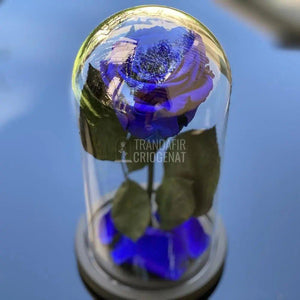 Trandafir Criogenat albastru Ø6,5cm in cupola sticla 10x20cm - Trandafir-Criogenat.ro