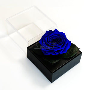 Trandafir Criogenat albastru Ø7-8cm in cutie cadou 10x10x11cm - Trandafir-Criogenat.ro