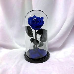 Trandafir Criogenat albastru Ø8cm in cupola de sticla 12x25cm - Trandafir-Criogenat.ro