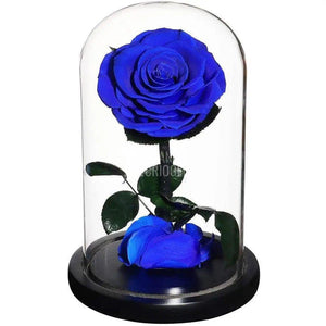 Trandafir Criogenat albastru Ø8cm in cupola de sticla, cu mesaj - Trandafir-Criogenat.ro