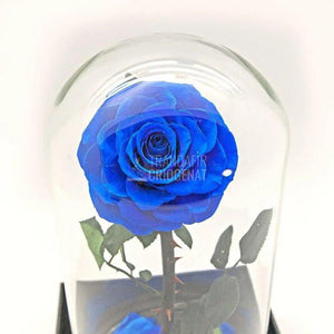 Trandafir Criogenat albastru Ø8cm in cupola sticla 12x25cm - Trandafir-Criogenat.ro
