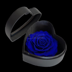 Trandafir Criogenat albastru Ø9cm in cutie inima 13x13x8cm - Trandafir-Criogenat.ro