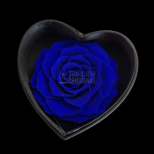 Trandafir Criogenat albastru Ø9cm in cutie inima 13x13x8cm - Trandafir-Criogenat.ro