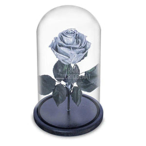 Trandafir Criogenat argintiu Ø6,5cm in cupola sticla 10x20cm - Trandafir-Criogenat.ro