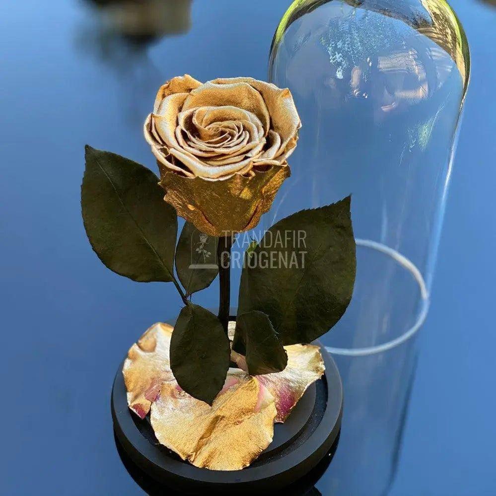 Trandafir Criogenat auriu metalizat Ø6,5cm in cupola 10x20cm - Trandafir-Criogenat.ro