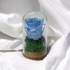 Trandafir Criogenat bleu in cupola de sticla 5x9,5cm (marturie) - Trandafir-Criogenat.ro