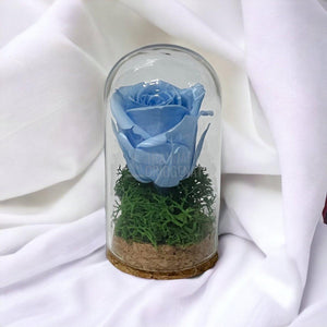 Trandafir Criogenat bleu in cupola de sticla 5x9,5cm (marturie) - Trandafir-Criogenat.ro