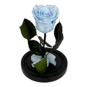 Trandafir Criogenat bleu Ø6,5cm in cupola sticla 10x20cm - Trandafir-Criogenat.ro