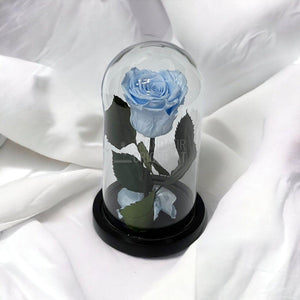 Trandafir Criogenat bleu Ø6,5cm in cupola sticla 10x20cm - Trandafir-Criogenat.ro