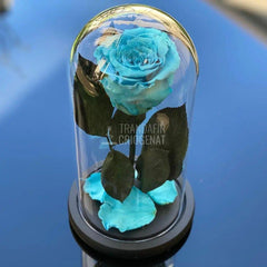 Trandafir Criogenat bleu Ø6,5cm in cupola sticla 12x25cm - Trandafir-Criogenat.ro