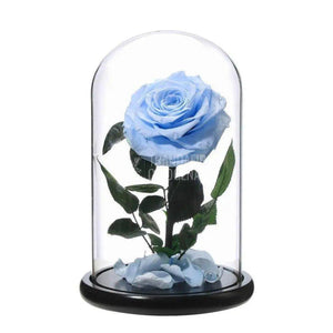 Trandafir Criogenat bleu xxl Ø9,5cm in cupola sticla 15x25cm - Trandafir-Criogenat.ro