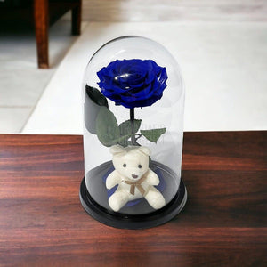 Trandafir Criogenat Bonita albastru in cupola sticla cu Ursulet - Trandafir-Criogenat.ro