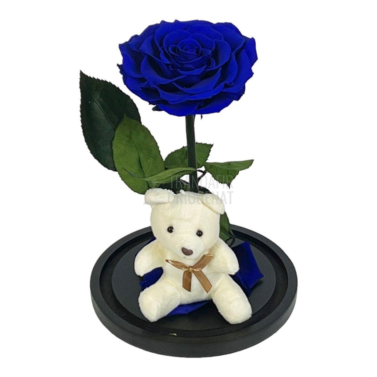 Trandafir Criogenat Bonita albastru in cupola sticla cu Ursulet - Trandafir-Criogenat.ro