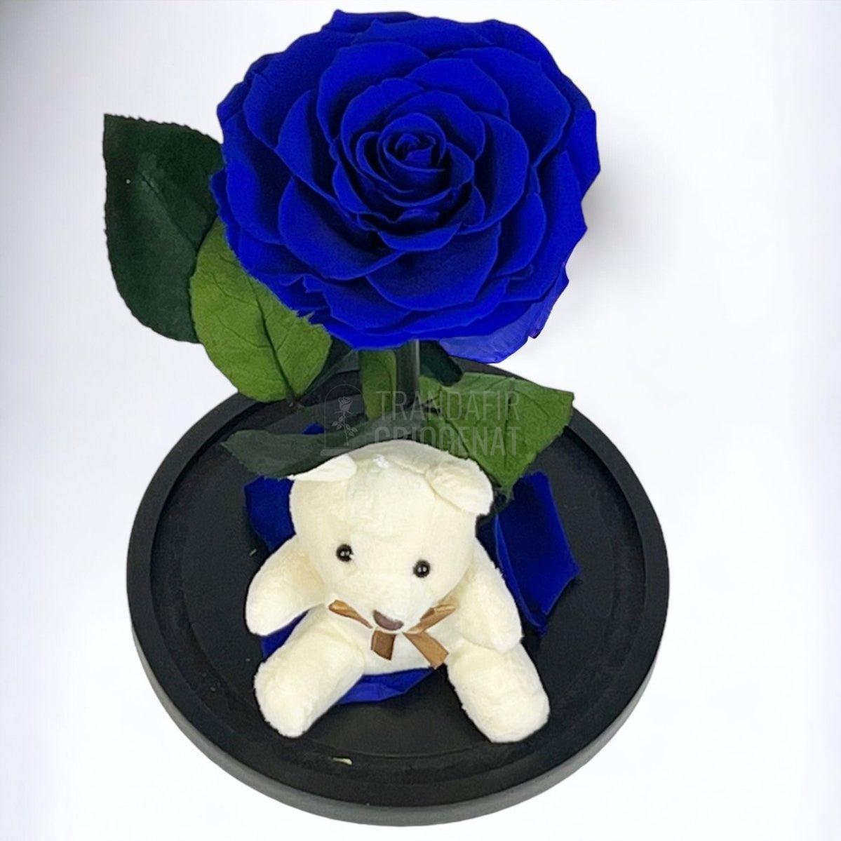 Trandafir Criogenat Bonita albastru in cupola sticla cu Ursulet - Trandafir-Criogenat.ro