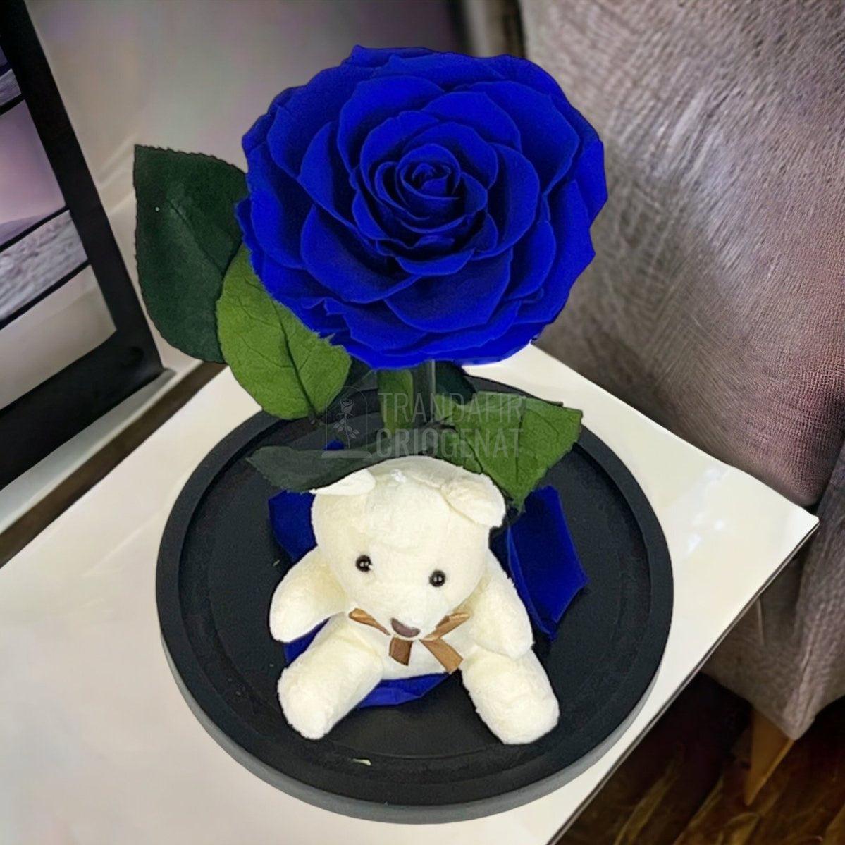 Trandafir Criogenat Bonita albastru in cupola sticla cu Ursulet - Trandafir-Criogenat.ro