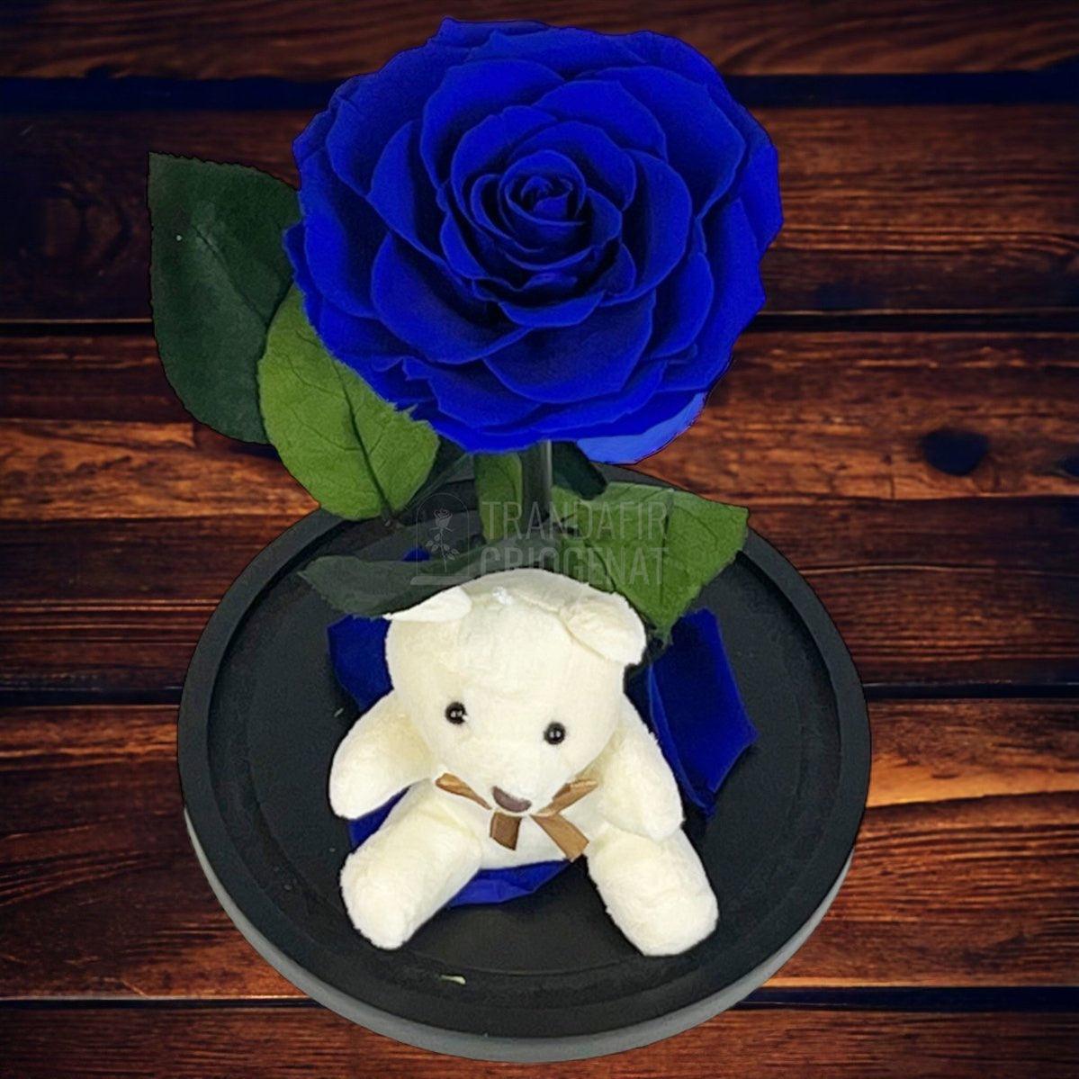 Trandafir Criogenat Bonita albastru in cupola sticla cu Ursulet - Trandafir-Criogenat.ro