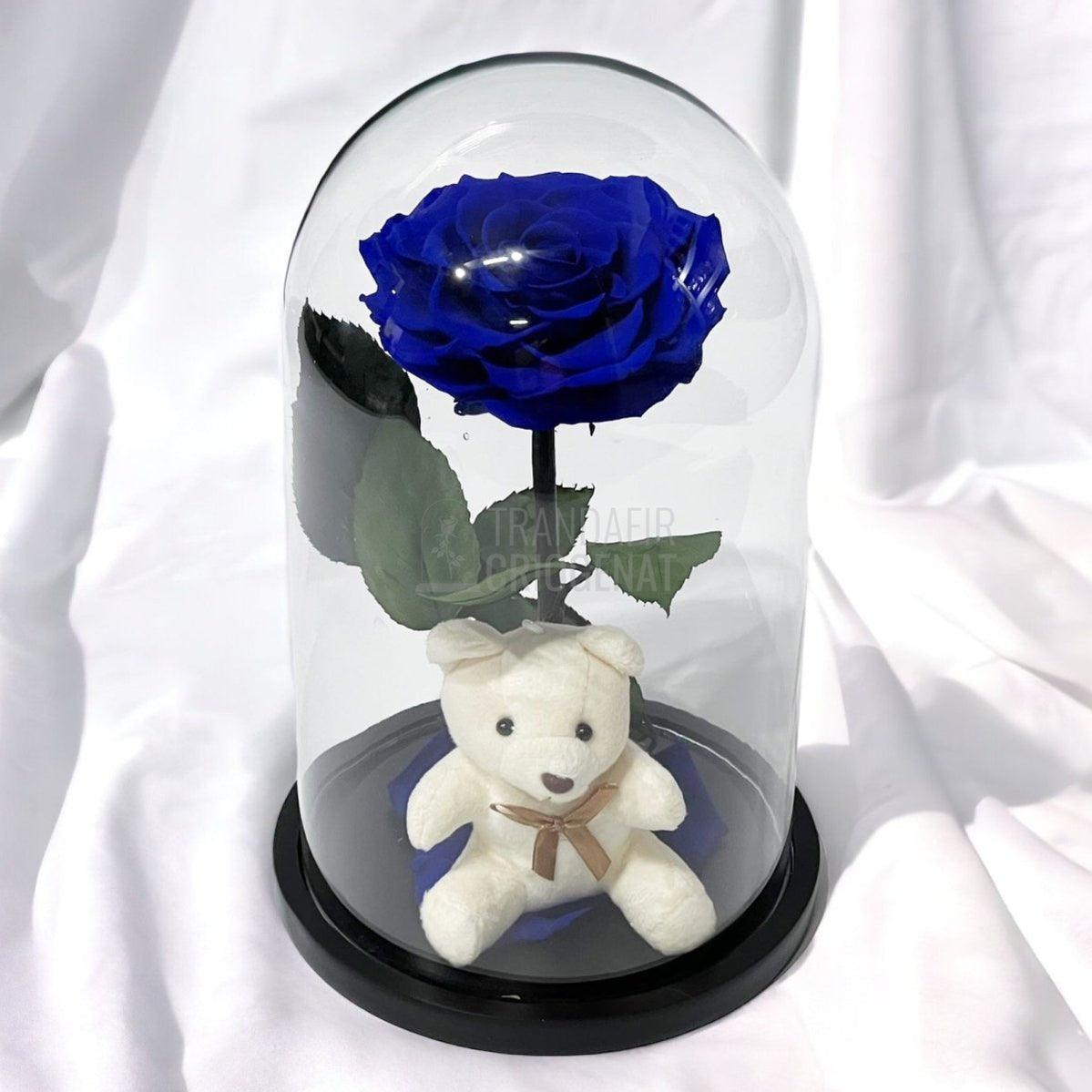 Trandafir Criogenat Bonita albastru in cupola sticla cu Ursulet - Trandafir-Criogenat.ro