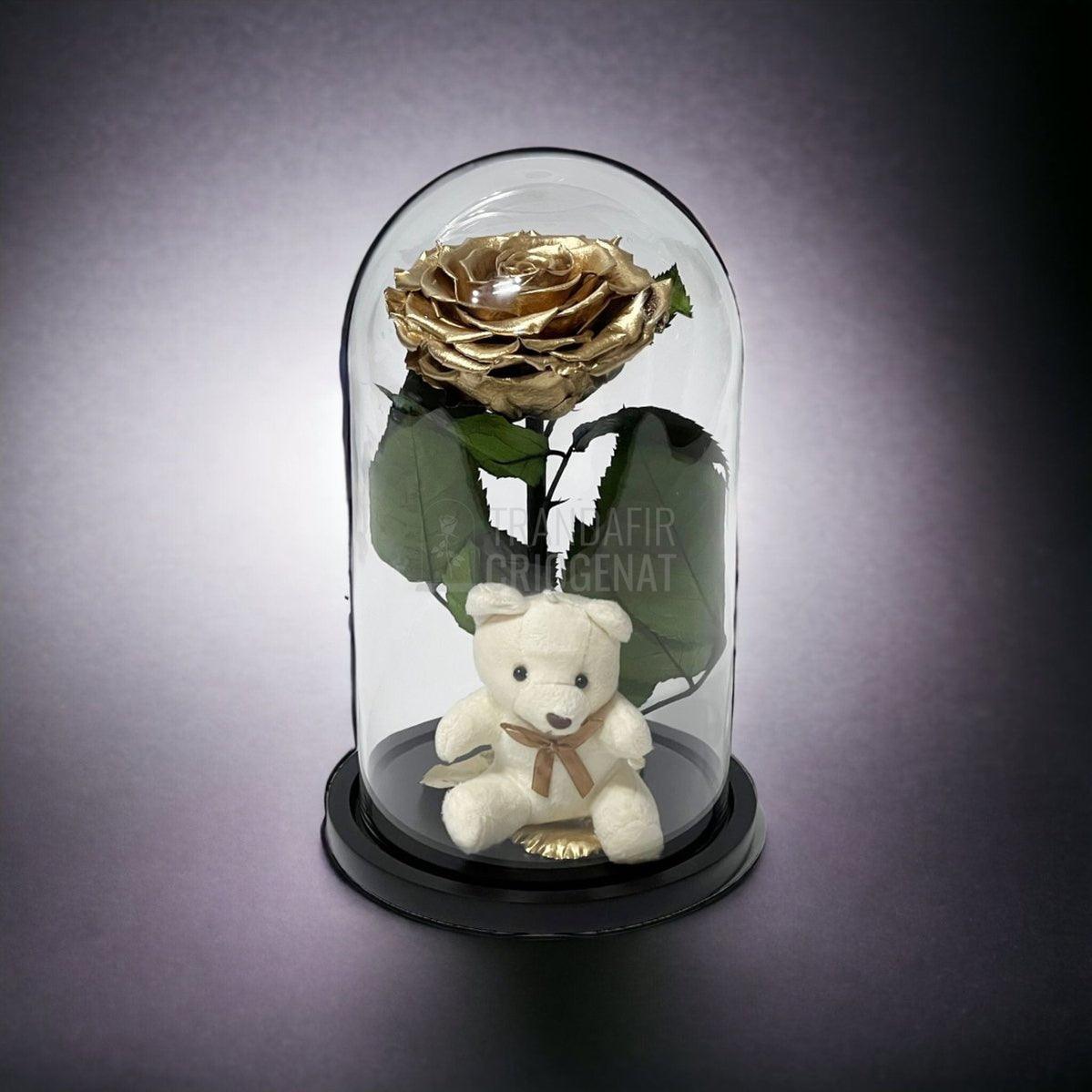 Trandafir Criogenat Bonita auriu in cupola sticla cu Ursulet - Trandafir-Criogenat.ro