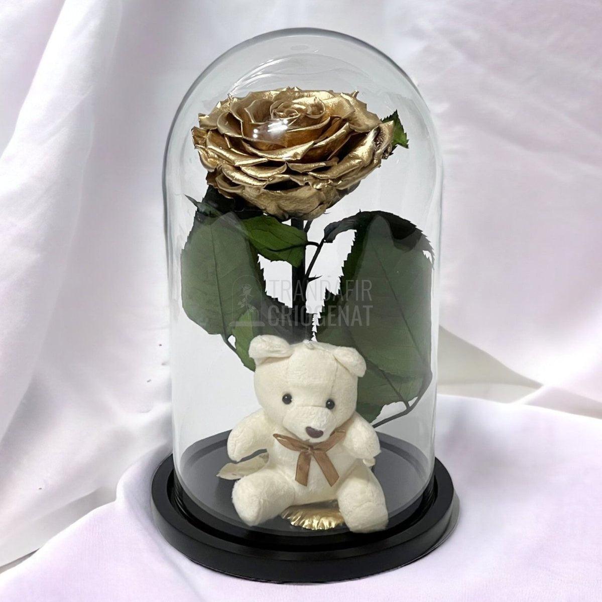 Trandafir Criogenat Bonita auriu in cupola sticla cu Ursulet - Trandafir-Criogenat.ro