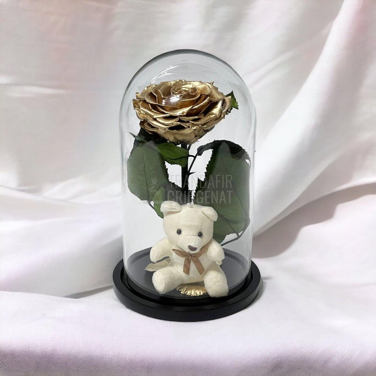 Trandafir Criogenat Bonita auriu in cupola sticla cu Ursulet - Trandafir-Criogenat.ro