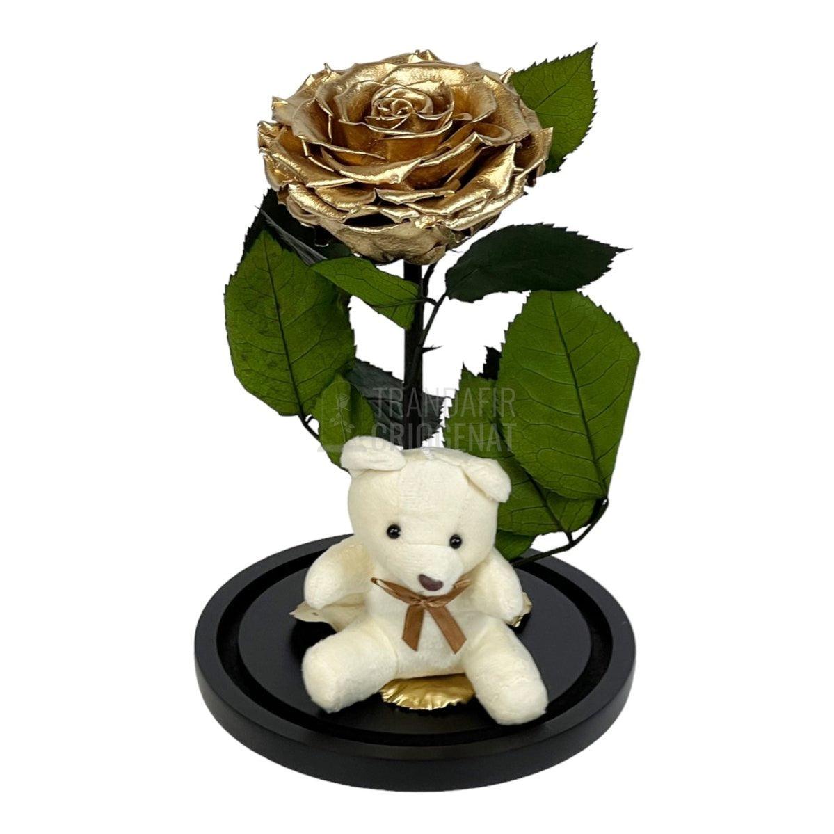 Trandafir Criogenat Bonita auriu in cupola sticla cu Ursulet - Trandafir-Criogenat.ro