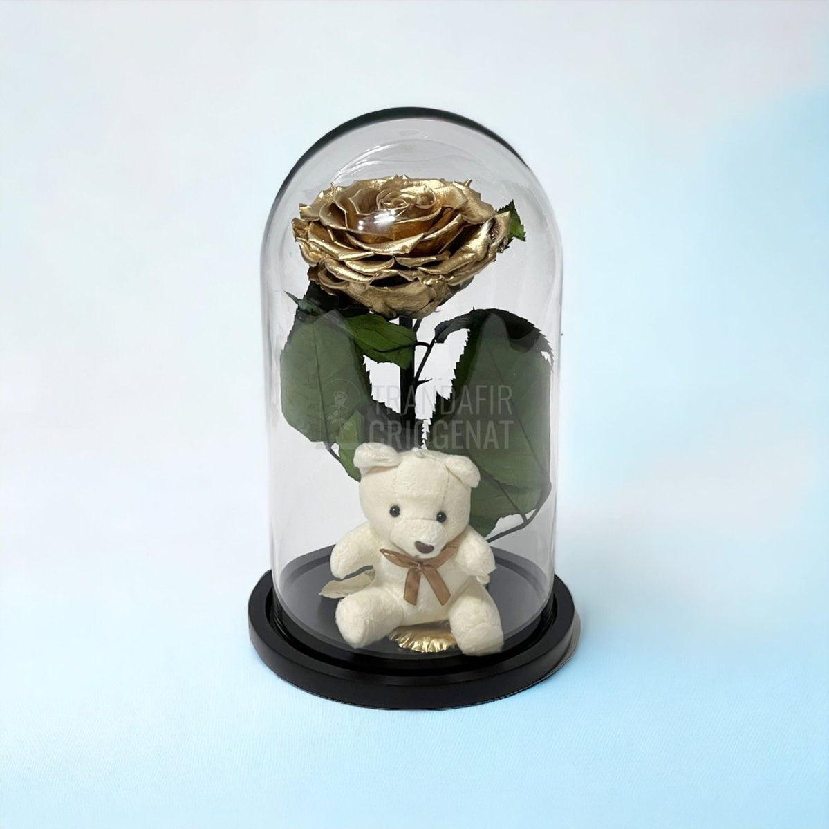 Trandafir Criogenat Bonita auriu in cupola sticla cu Ursulet - Trandafir-Criogenat.ro