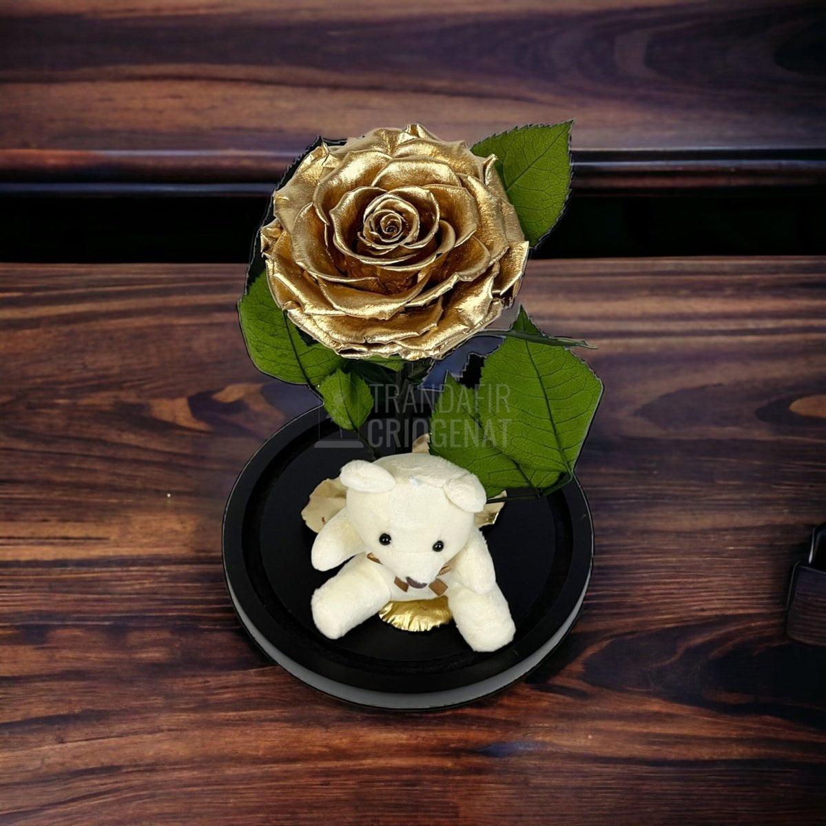 Trandafir Criogenat Bonita auriu in cupola sticla cu Ursulet - Trandafir-Criogenat.ro