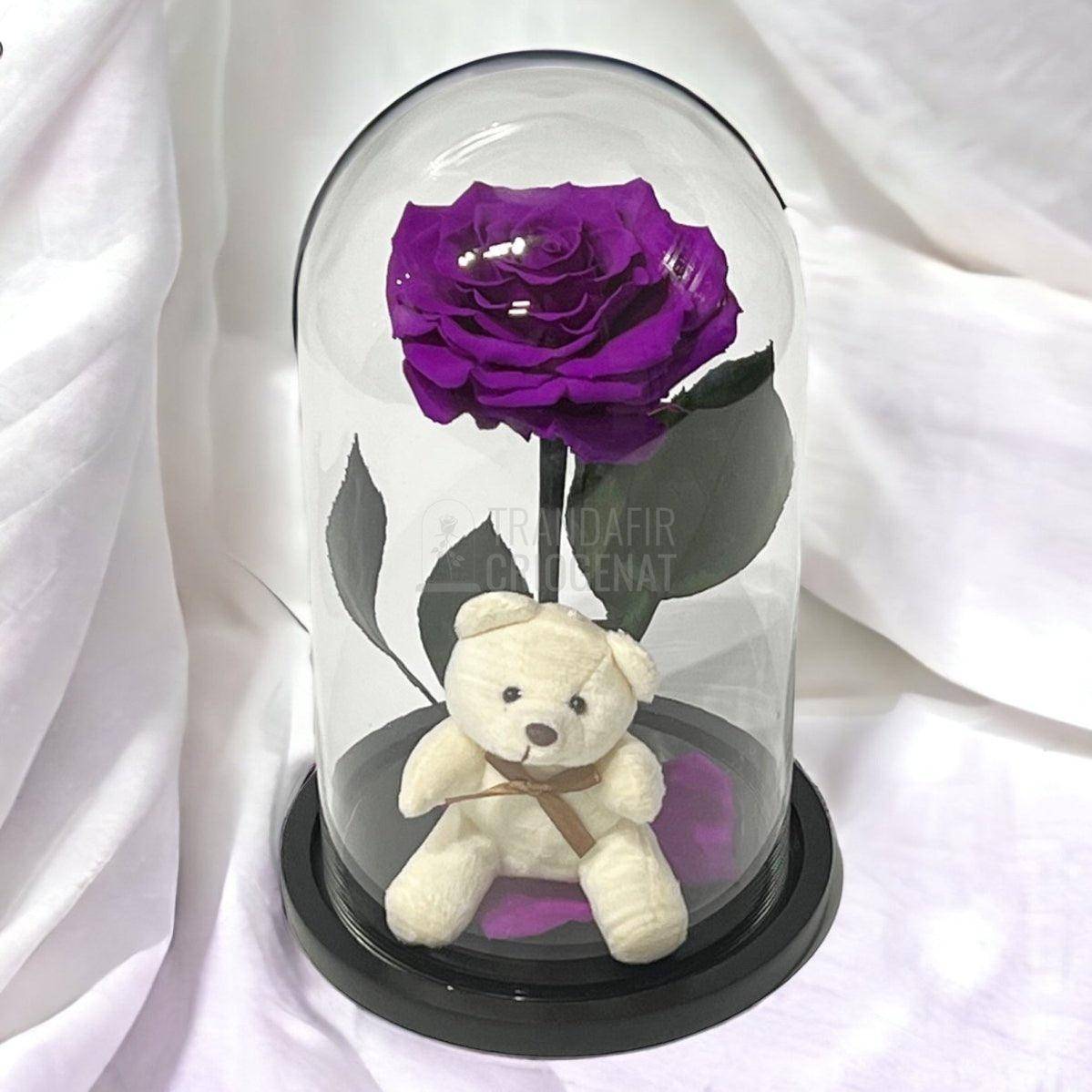 Trandafir Criogenat Bonita purpuriu in cupola sticla cu Ursulet - Trandafir-Criogenat.ro