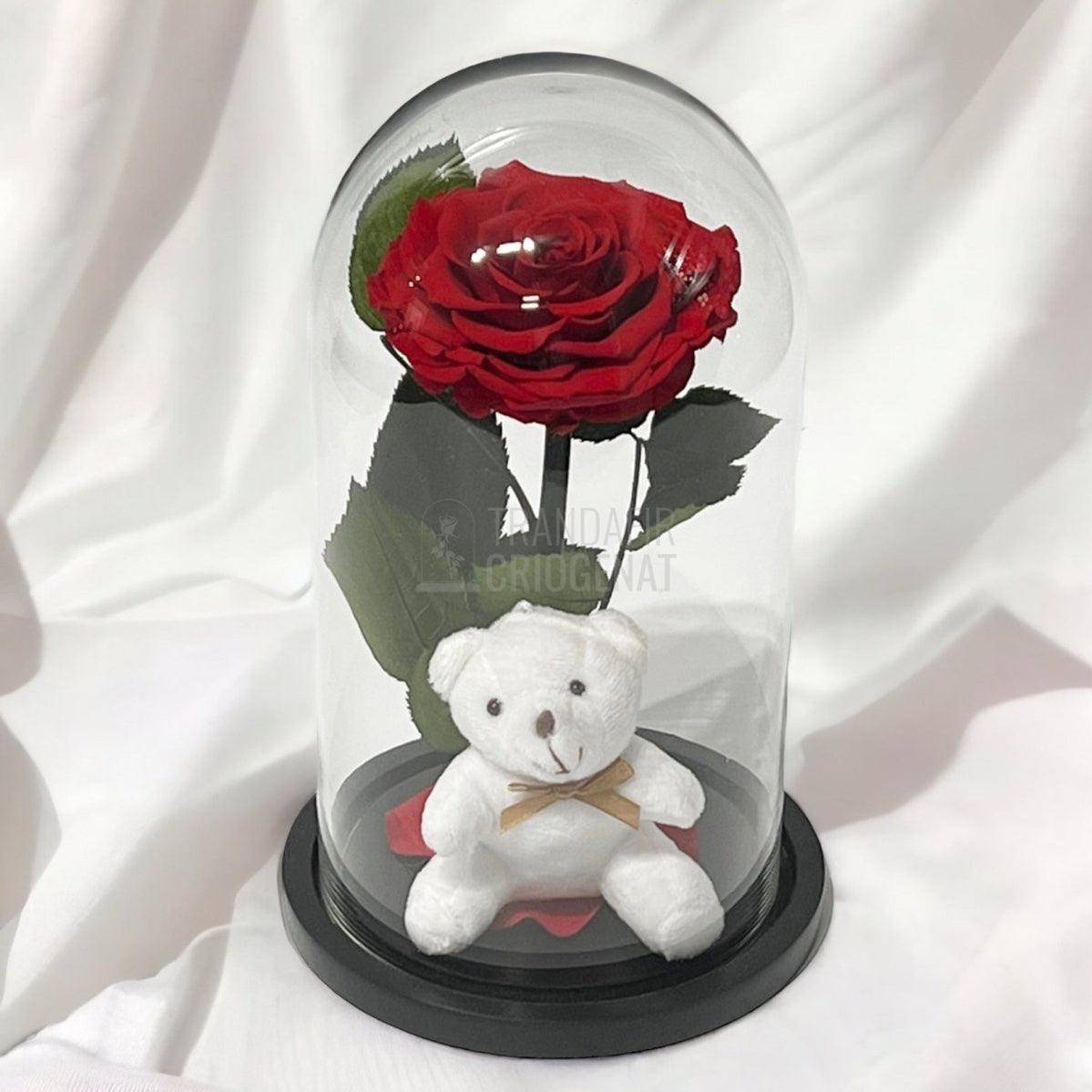 Trandafir Criogenat Bonita rosu in cupola sticla cu Ursulet - Trandafir-Criogenat.ro