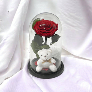 Trandafir Criogenat Bonita rosu in cupola sticla cu Ursulet - Trandafir-Criogenat.ro