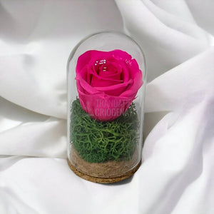 Trandafir Criogenat ciclam in cupola de sticla 5x9,5cm (marturie) - Trandafir-Criogenat.ro