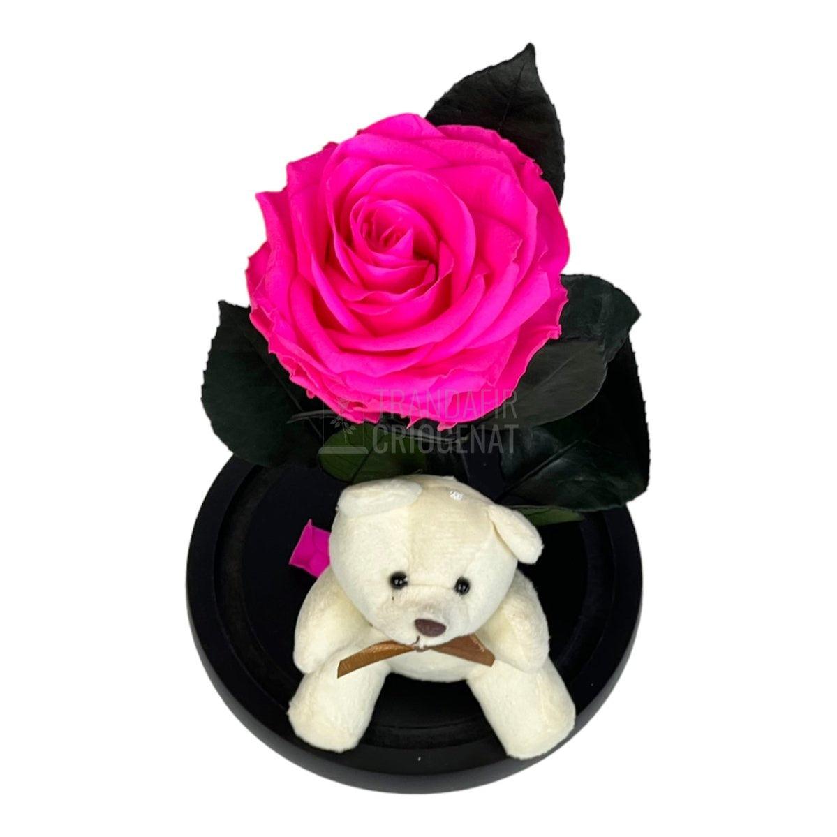 Trandafir Criogenat ciclam Ø8cm in cupola sticla cu Ursulet - Trandafir-Criogenat.ro