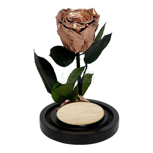 Trandafir Criogenat culoare cupru Ø6,5cm in cupola, cu mesaj - Trandafir-Criogenat.ro