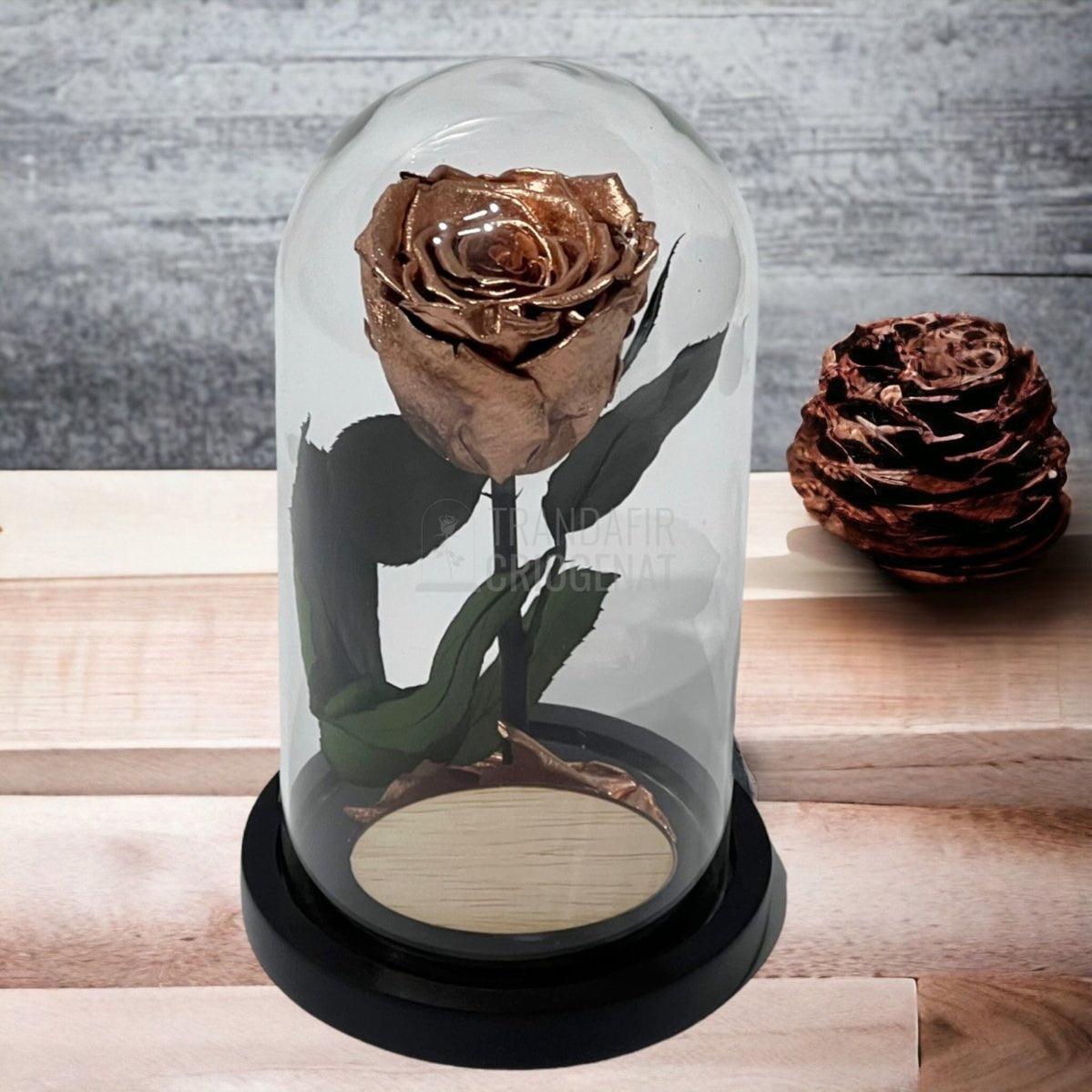 Trandafir Criogenat culoare cupru Ø6,5cm in cupola, cu mesaj - Trandafir-Criogenat.ro