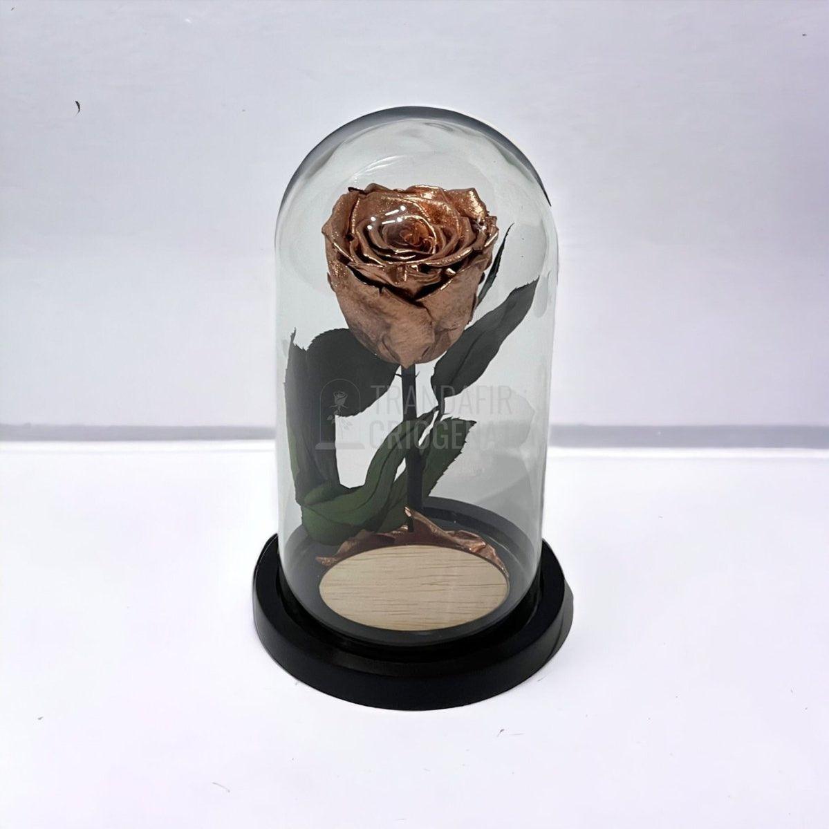 Trandafir Criogenat culoare cupru Ø6,5cm in cupola, cu mesaj - Trandafir-Criogenat.ro