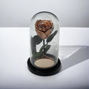 Trandafir Criogenat culoare cupru Ø6,5cm in cupola, cu mesaj - Trandafir-Criogenat.ro