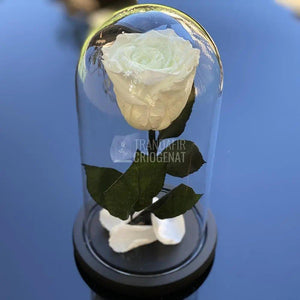 Trandafir Criogenat fosforescent verde, cupola 10x20cm - Trandafir-Criogenat.ro