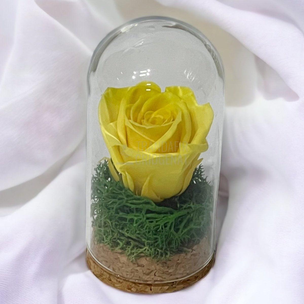 Trandafir Criogenat galben in cupola de sticla 5x9,5cm (marturie) - Trandafir-Criogenat.ro