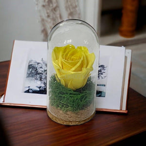 Trandafir Criogenat galben in cupola de sticla 5x9,5cm (marturie) - Trandafir-Criogenat.ro