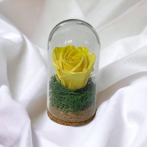 Trandafir Criogenat galben in cupola de sticla 5x9,5cm (marturie) - Trandafir-Criogenat.ro