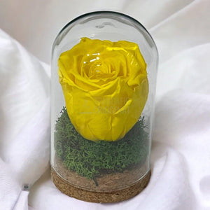 Trandafir Criogenat galben in cupola de sticla 7x12cm (marturie) - Trandafir-Criogenat.ro