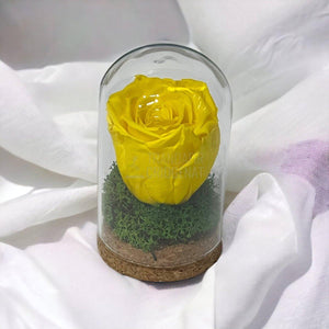 Trandafir Criogenat galben in cupola de sticla 7x12cm (marturie) - Trandafir-Criogenat.ro