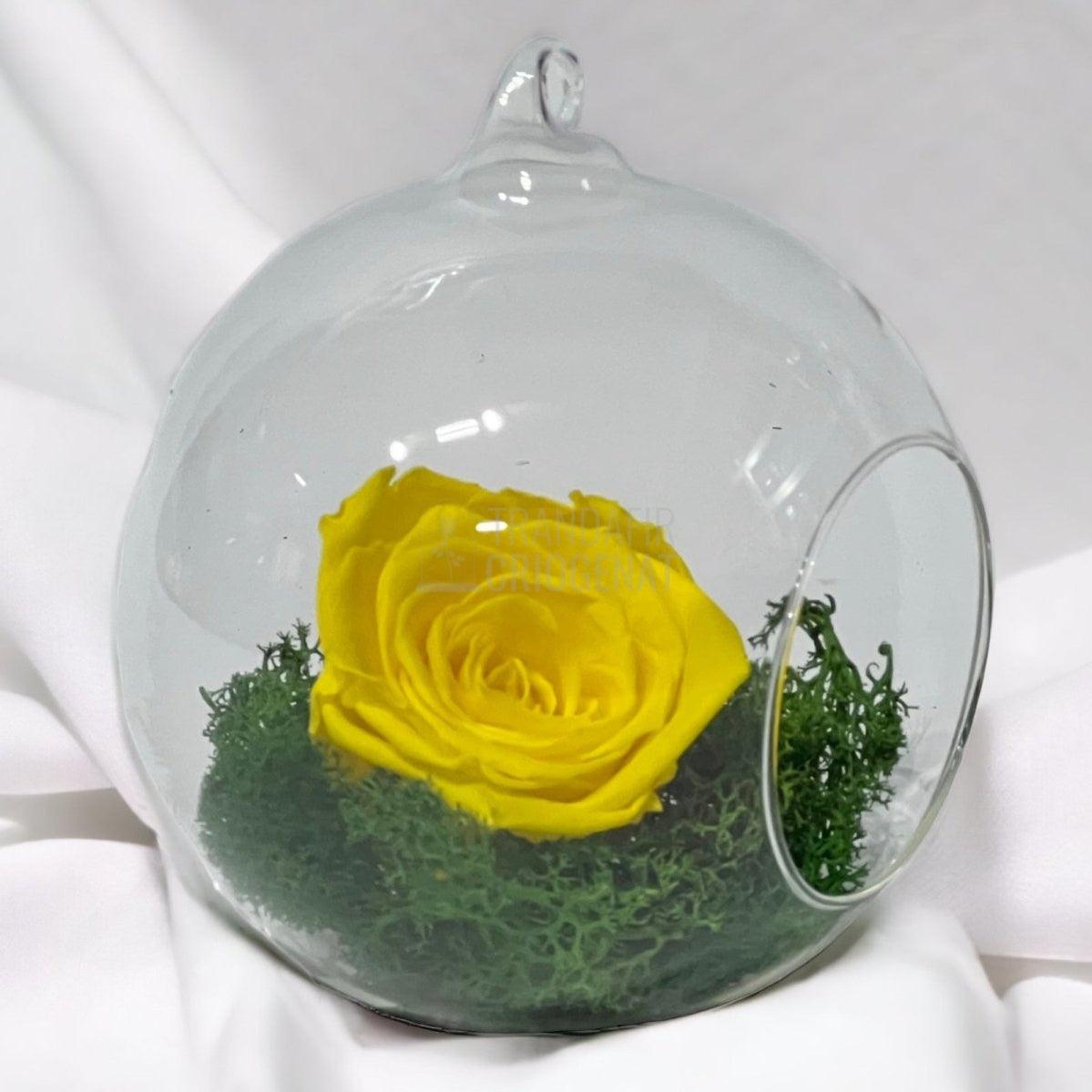 Trandafir Criogenat galben in glob de sticla Ø12cm - Trandafir-Criogenat.ro