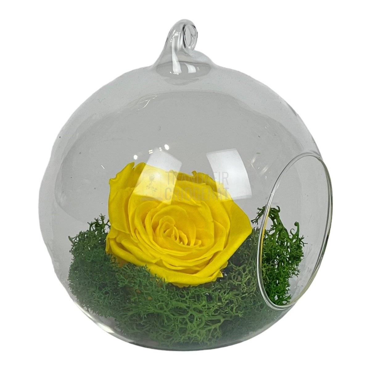 Trandafir Criogenat galben in glob de sticla Ø12cm - Trandafir-Criogenat.ro