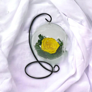 Trandafir Criogenat galben in glob sticla suspendat Ø12cm - Trandafir-Criogenat.ro