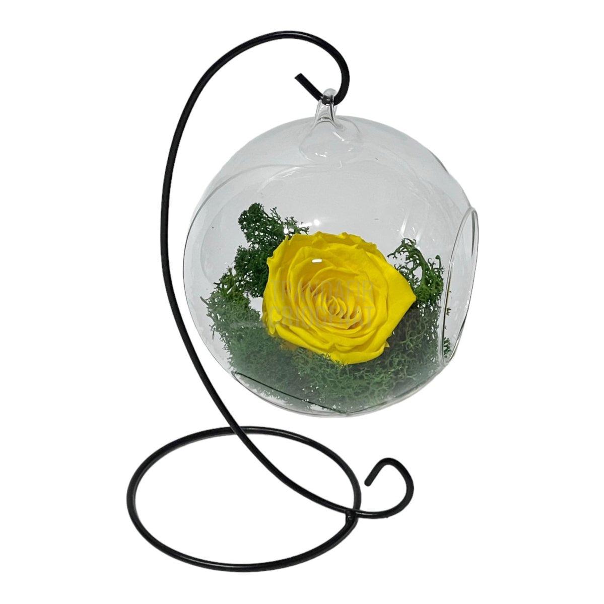 Trandafir Criogenat galben in glob sticla suspendat Ø12cm - Trandafir-Criogenat.ro