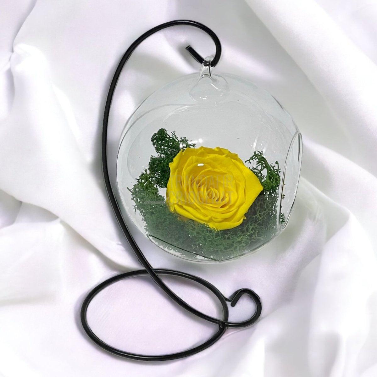 Trandafir Criogenat galben in glob sticla suspendat Ø12cm - Trandafir-Criogenat.ro
